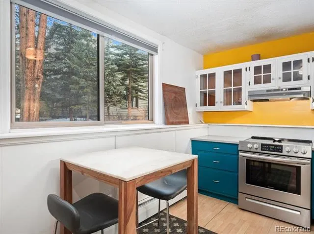 550 S French Street #G1 Breckenridge, CO 80424