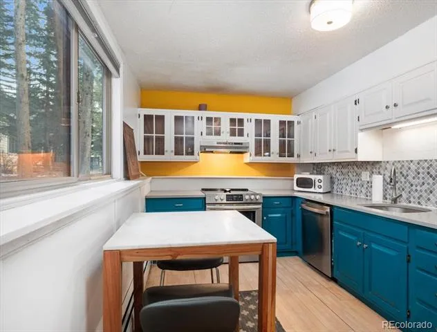 550 S French Street #G1 Breckenridge, CO 80424