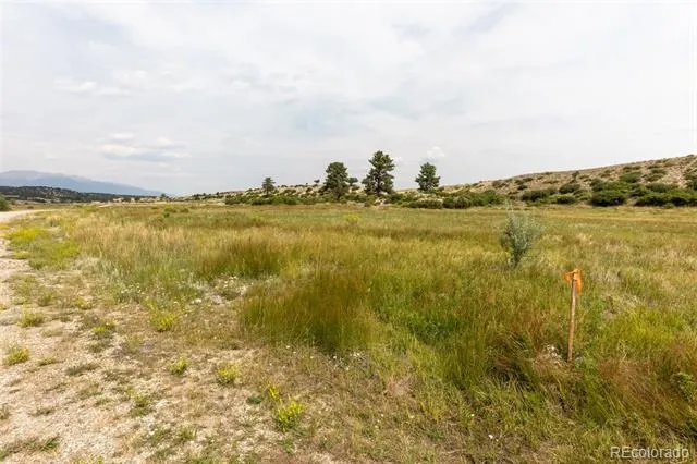 24230 River Rock Lane Buena Vista, CO 81211