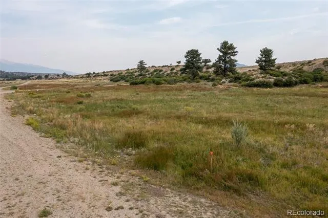 24230 River Rock Lane Buena Vista, CO 81211