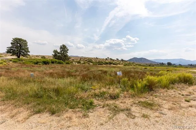 24230 River Rock Lane Buena Vista, CO 81211