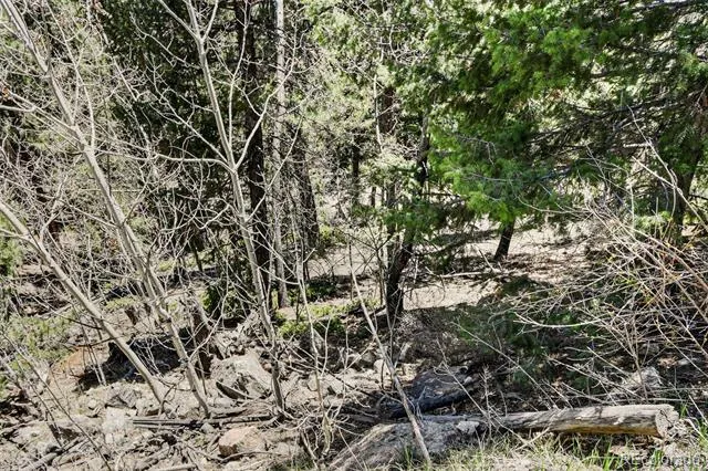 11618 Nichols Way Conifer, CO 80433