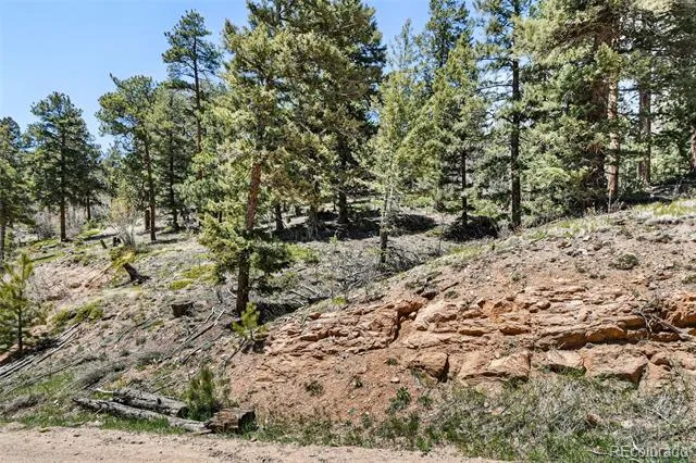 11618 Nichols Way Conifer, CO 80433