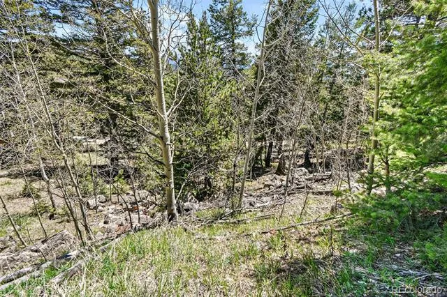 11618 Nichols Way Conifer, CO 80433