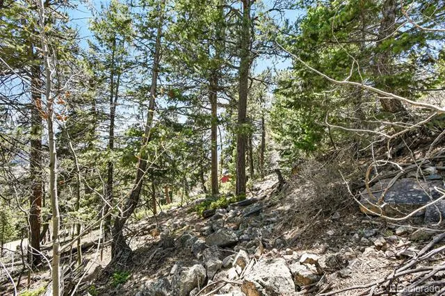 11618 Nichols Way Conifer, CO 80433