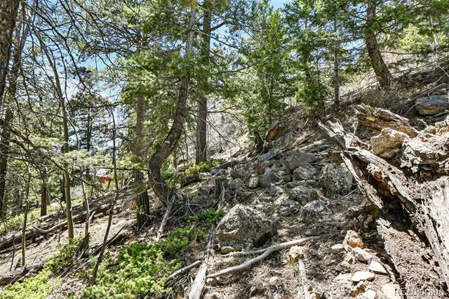 11618 Nichols Way Conifer, CO 80433