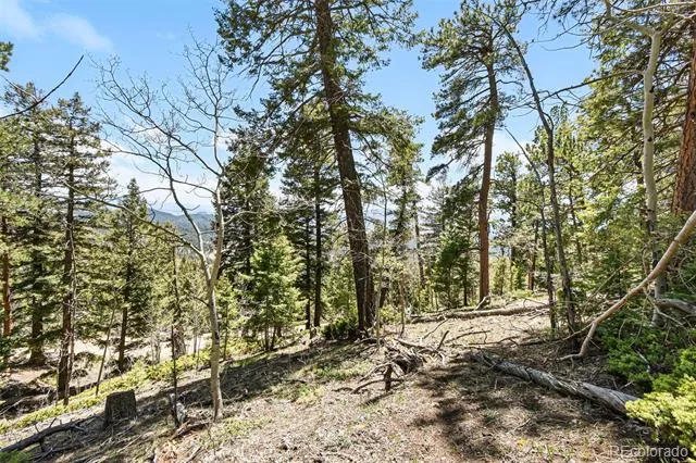 11618 Nichols Way Conifer, CO 80433