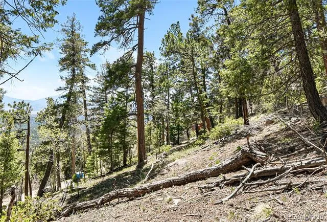 11618 Nichols Way Conifer, CO 80433