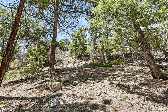 11618 Nichols Way Conifer, CO 80433