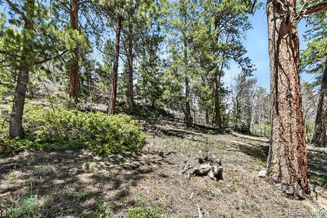 11618 Nichols Way Conifer, CO 80433