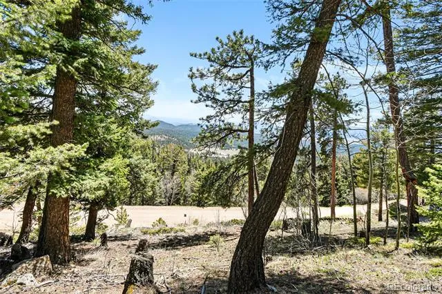 11618 Nichols Way Conifer, CO 80433