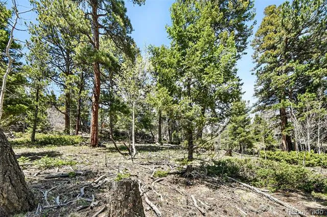 11618 Nichols Way Conifer, CO 80433