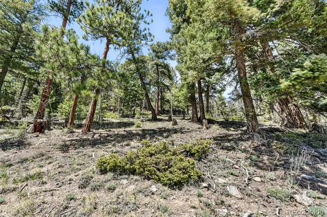 11618 Nichols Way Conifer, CO 80433