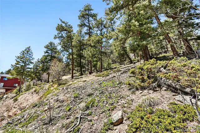11618 Nichols Way Conifer, CO 80433