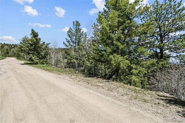 11618 Nichols Way Conifer, CO 80433