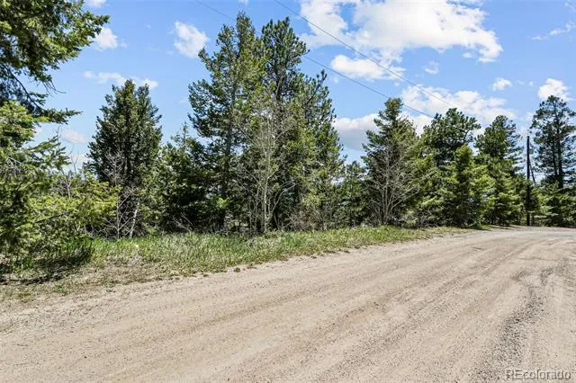 11618 Nichols Way Conifer, CO 80433
