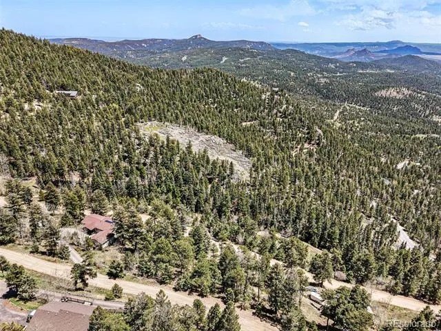 11618 Nichols Way Conifer, CO 80433