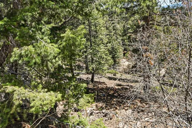 11618 Nichols Way Conifer, CO 80433