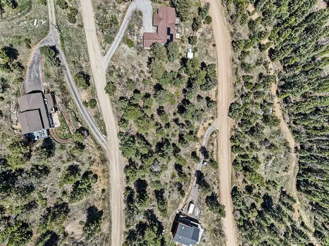 11618 Nichols Way Conifer, CO 80433