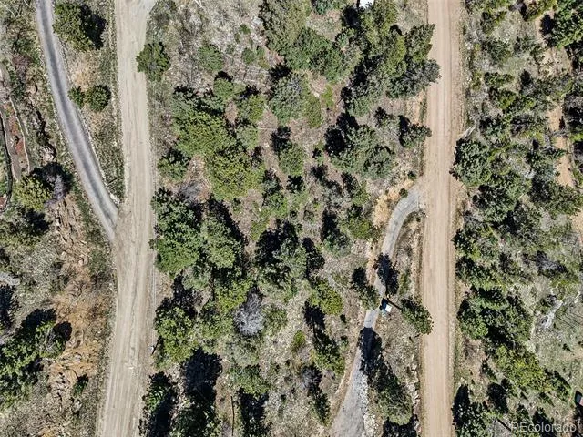 11618 Nichols Way Conifer, CO 80433