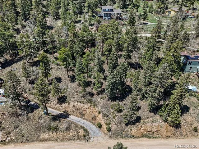11618 Nichols Way Conifer, CO 80433