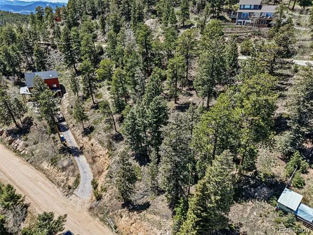 11618 Nichols Way Conifer, CO 80433