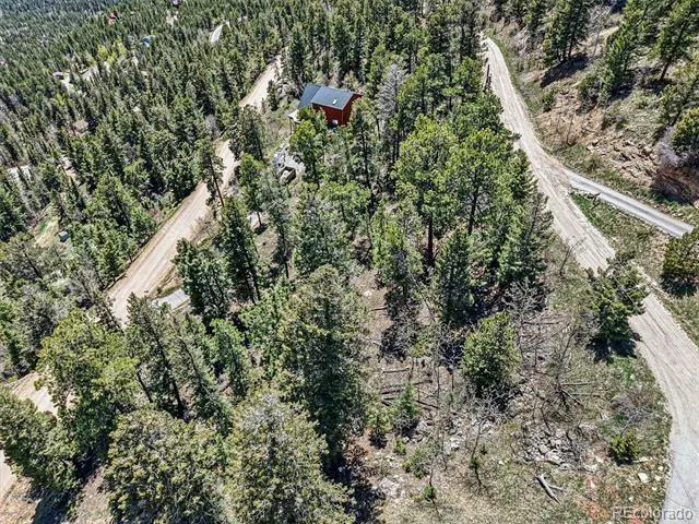 11618 Nichols Way Conifer, CO 80433