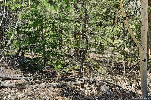 11618 Nichols Way Conifer, CO 80433