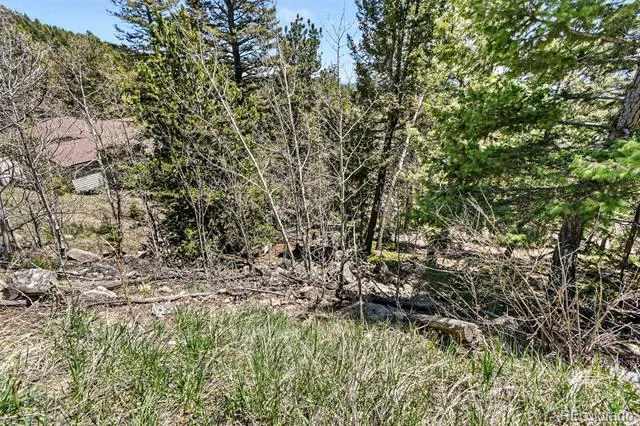 11618 Nichols Way Conifer, CO 80433