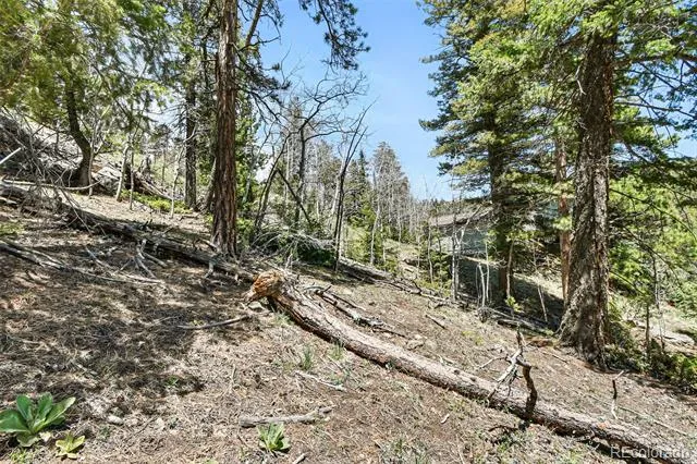 11618 Nichols Way Conifer, CO 80433