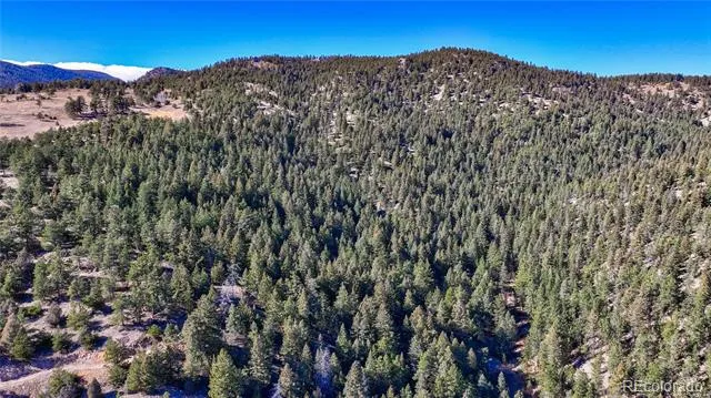774 Cougar Drive Boulder, CO 80302