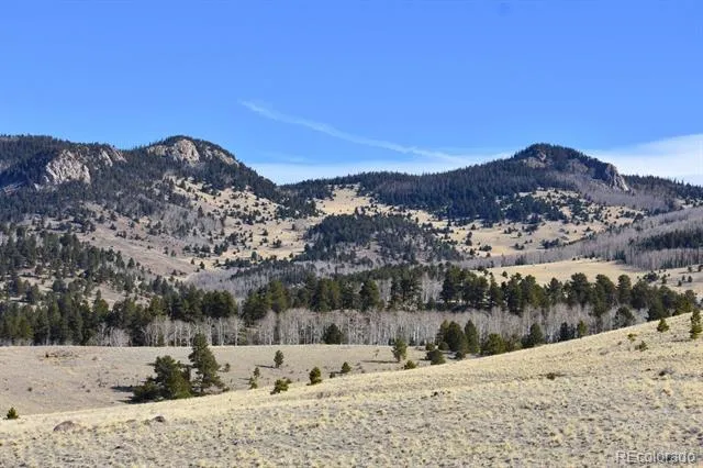 457 Anthony Avenue Westcliffe, CO 81252