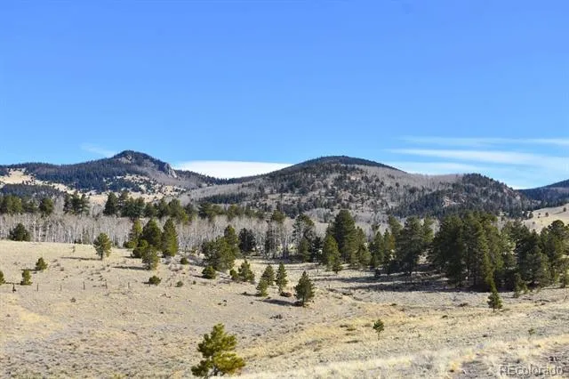 457 Anthony Avenue Westcliffe, CO 81252