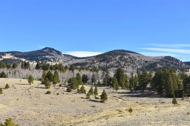 457 Anthony Avenue Westcliffe, CO 81252