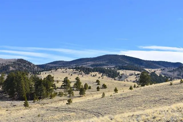 457 Anthony Avenue Westcliffe, CO 81252