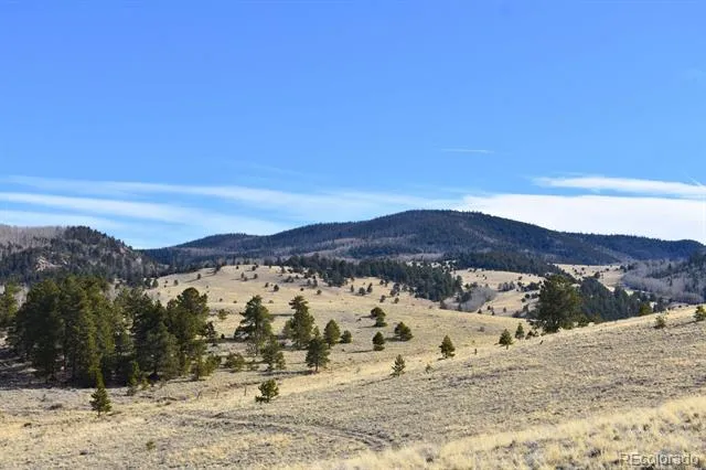 457 Anthony Avenue Westcliffe, CO 81252
