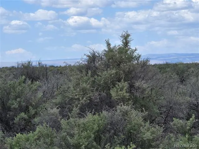 S. County Rd. 103 Alamosa, CO 81101