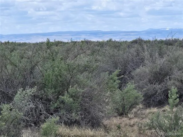 S. County Rd. 103 Alamosa, CO 81101