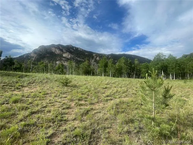 171 Emerald Way Lake George, CO 80827