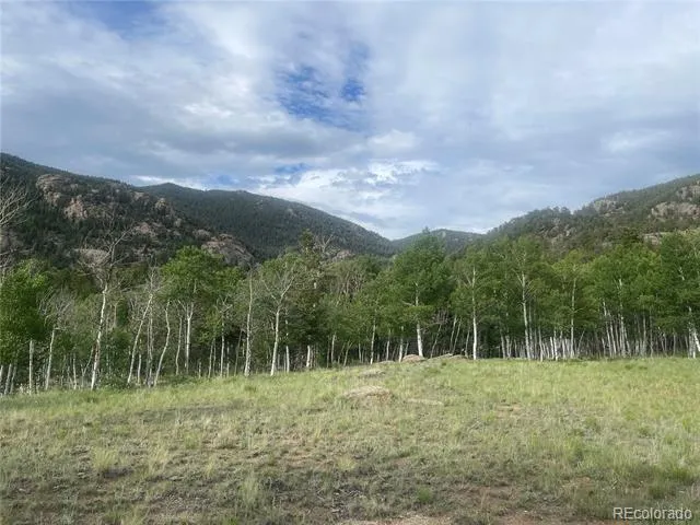 171 Emerald Way Lake George, CO 80827