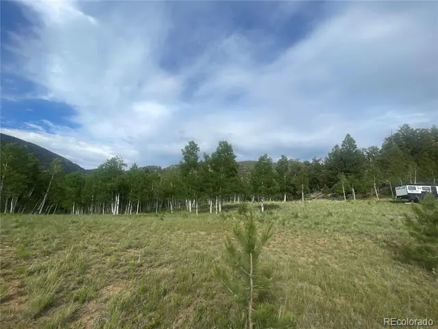 171 Emerald Way Lake George, CO 80827