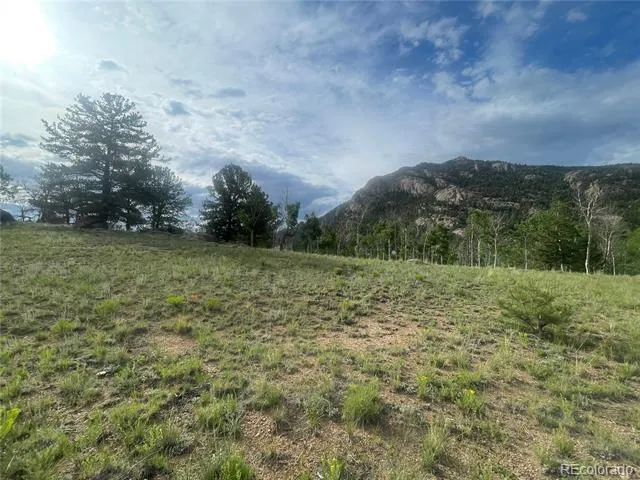 171 Emerald Way Lake George, CO 80827