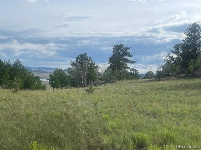 171 Emerald Way Lake George, CO 80827