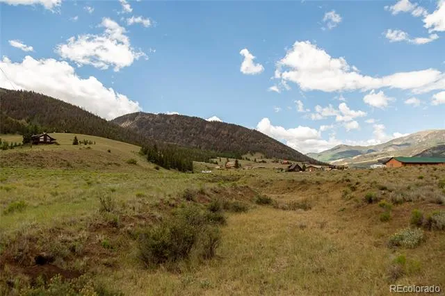 410 Macfarlane Lane Creede, CO 81130
