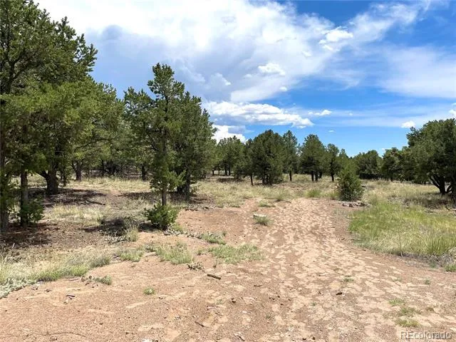 Tract 6 PHILLEO ANNEX Philleo Way Crestone, CO 81131