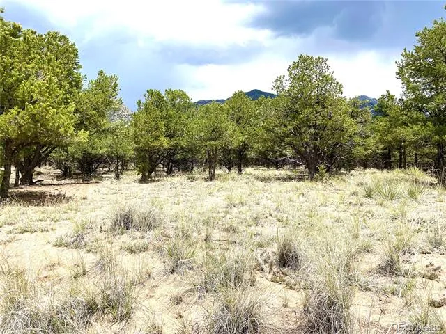 Tract 6 PHILLEO ANNEX Philleo Way Crestone, CO 81131