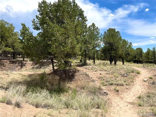 Tract 6 PHILLEO ANNEX Philleo Way Crestone, CO 81131