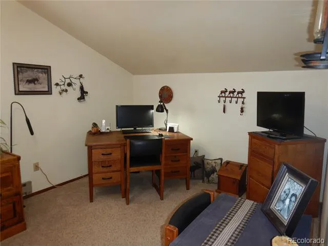 395 Kit Carson Road South Fork, CO 81154
