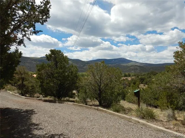 395 Kit Carson Road South Fork, CO 81154