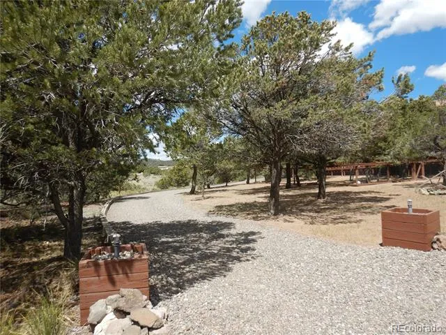 395 Kit Carson Road South Fork, CO 81154
